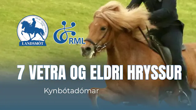 FIZO 7 years old mares - Landsmót hes...