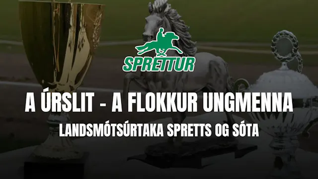 A úrslit A flokkur ungmenna - Gæðinga...