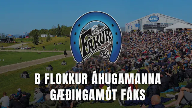 B flokkur áhugamanna - Gæðingamót Fák...