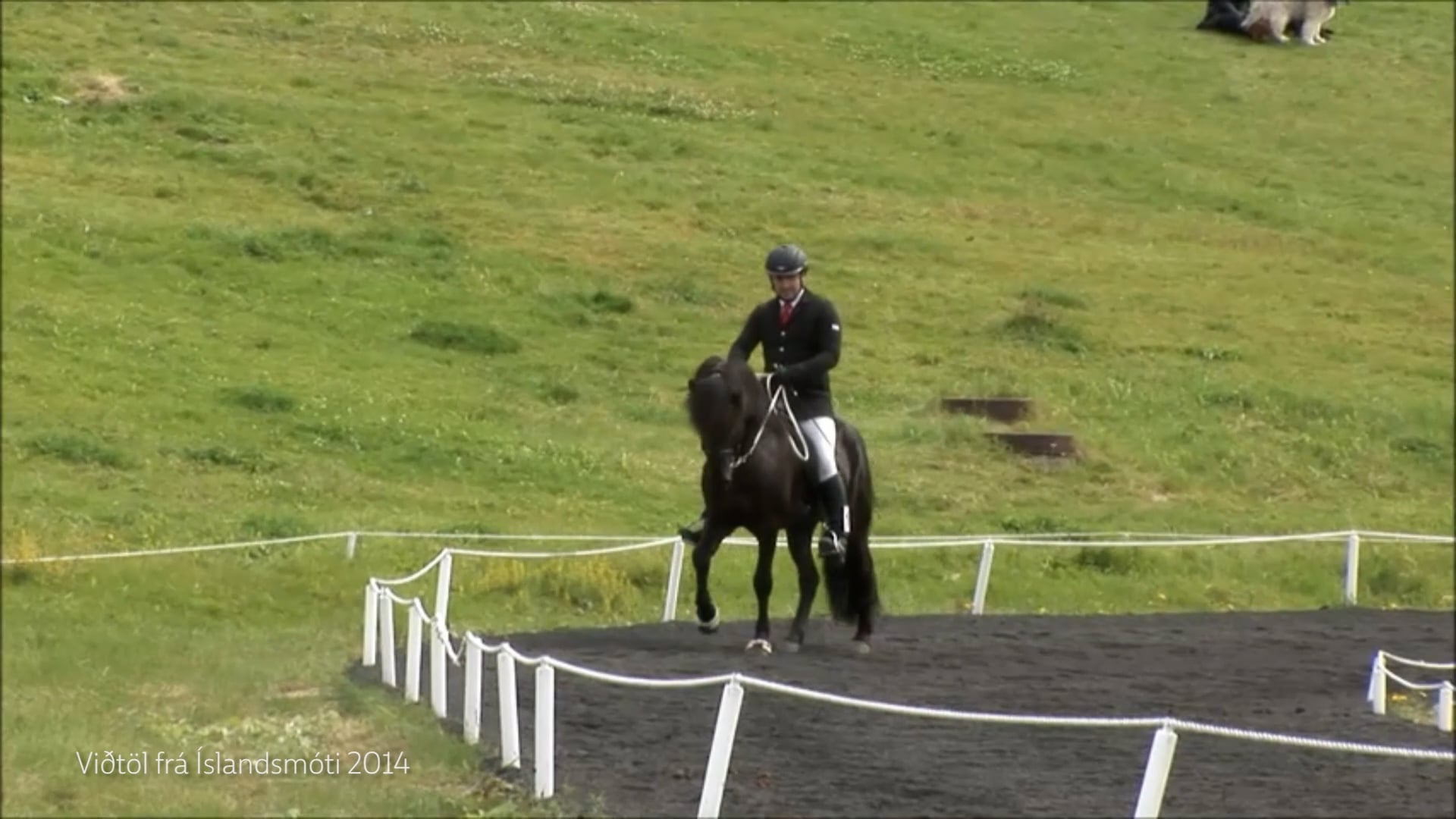 Viðtal við Íslandsmeistaran í Slaktaumatölti 2014