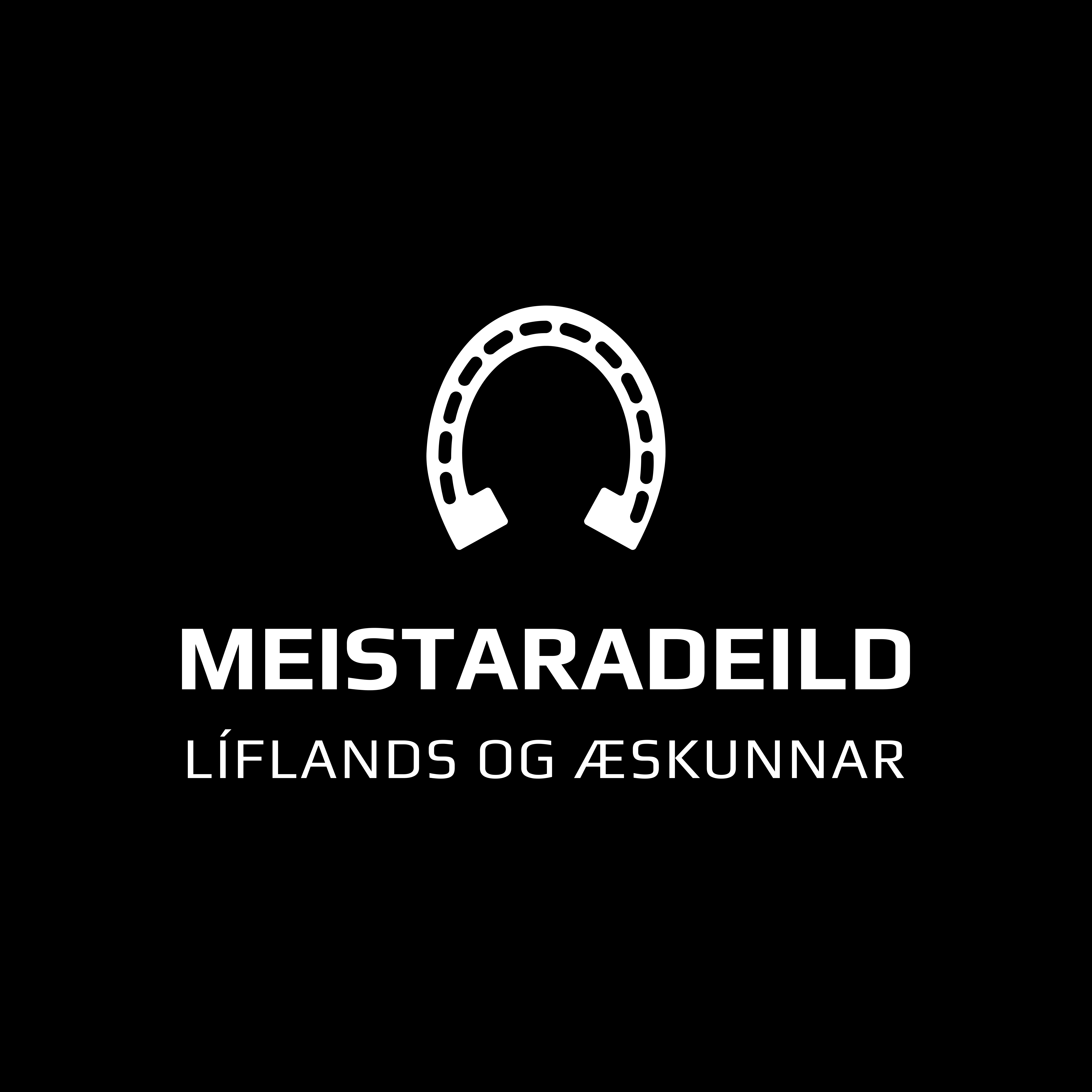 Meistaradeild æskunnar 2024