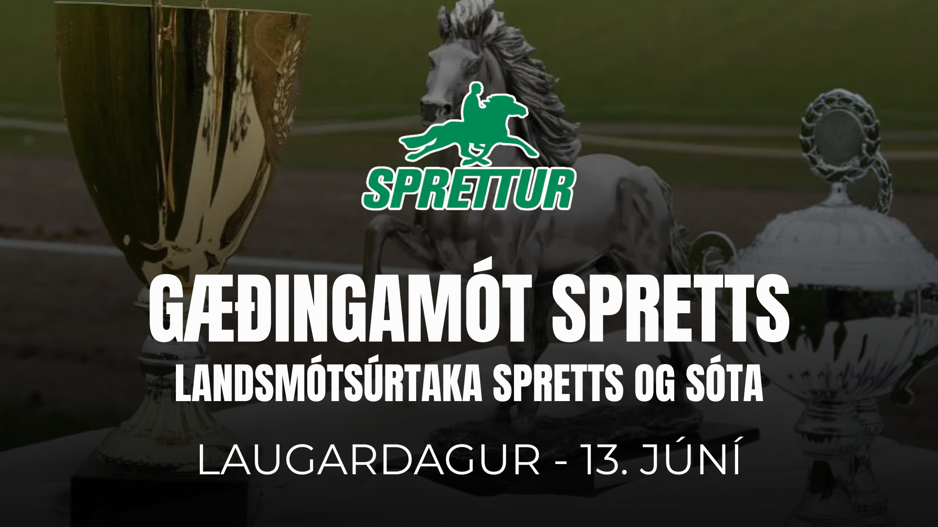 13. June - Gæðingamót og úrtaka Spretts og Sóta