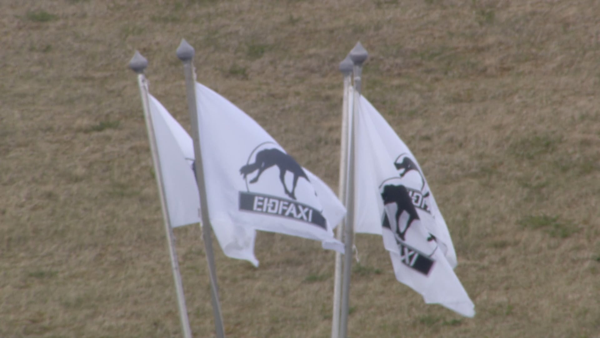 Fimmgangur F1 - Meistaraflokkur - A úrslit - Íþróttamót Spretts 2025