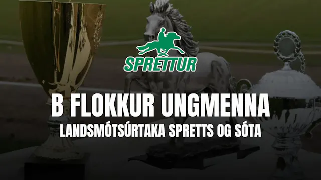 B flokkur ungmenna - Gæðingamót Spret...