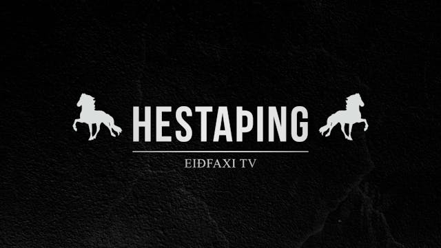 Hestaþing - Útflutningur á hrossasæði