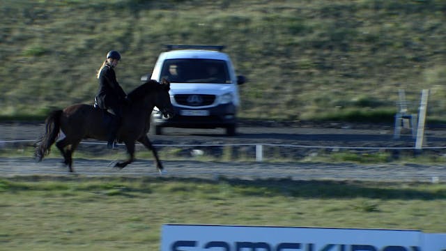 B flokkur gæðinga 2 - Forkeppni - Gæð...