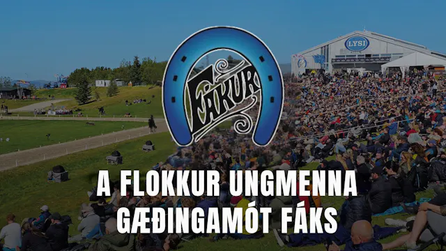 A flokkur ungmenna - Gæðingamót Fáks ...