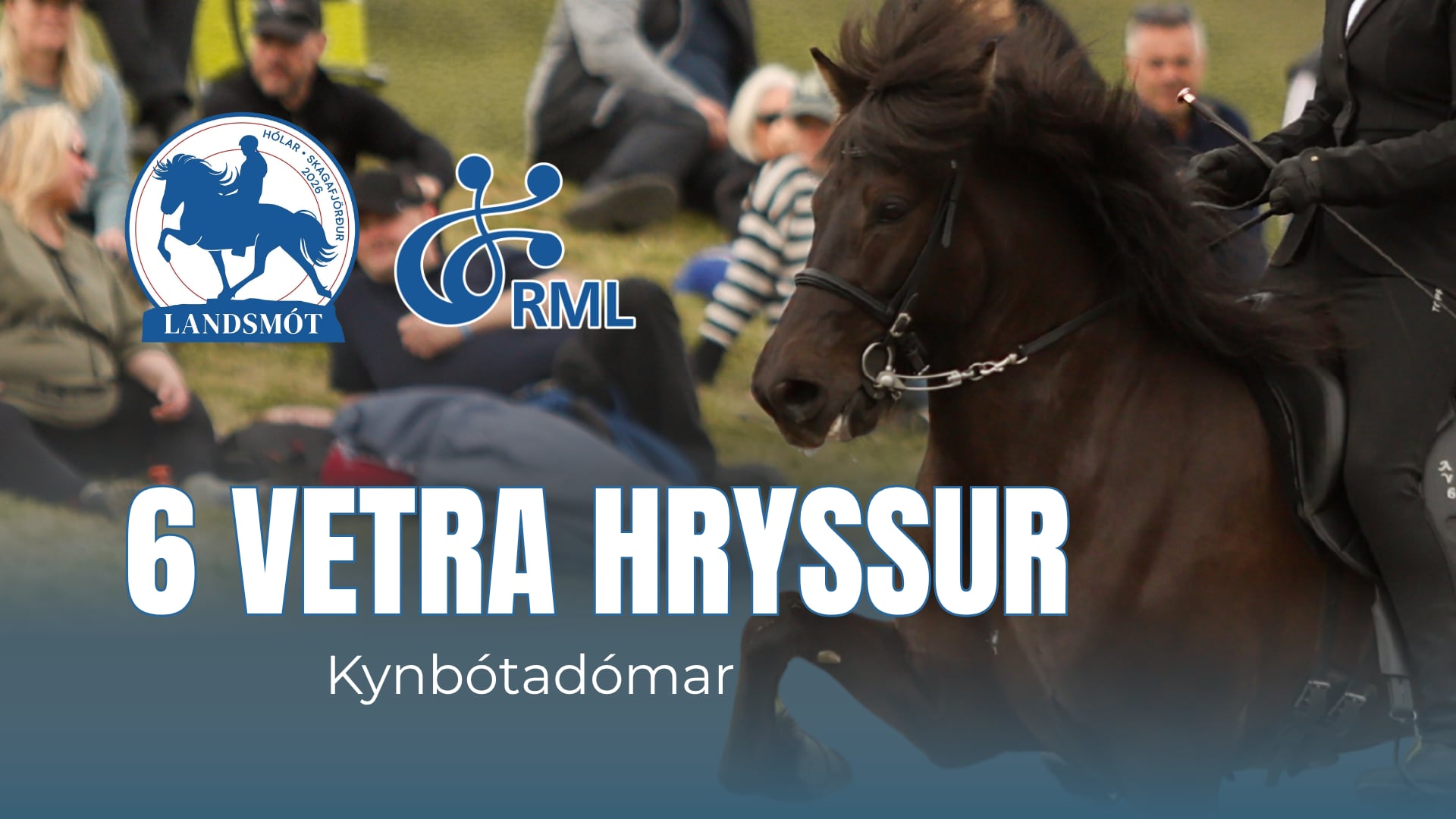 FIZO 6 year old mares II - Landsmót hestamanna 2026