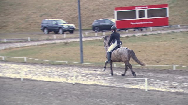 Fjórgangur V5 - 2. flokkur - Forkeppn...