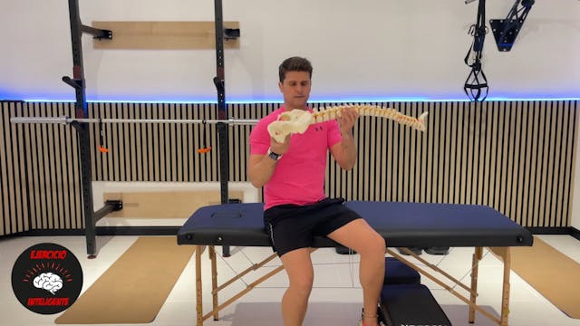 Extensión lumbar