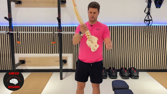 Flexión dorsal