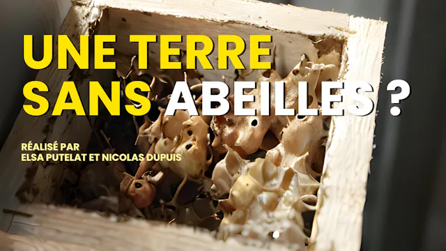 Une terre sans abeilles?