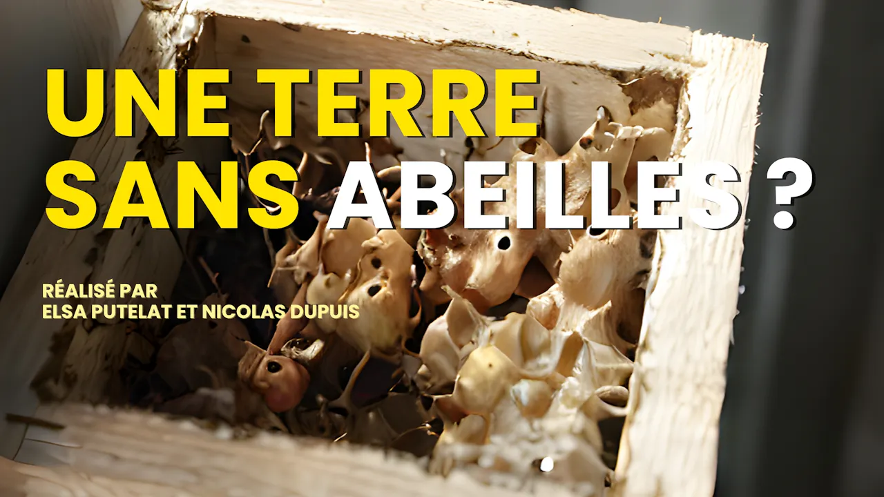 Une terre sans abeilles?