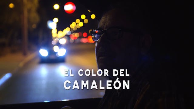 El Color Del Camaleon