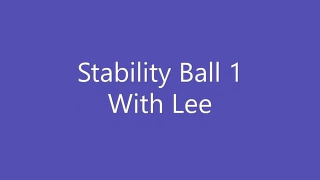 Stability Ball 1 With Lee