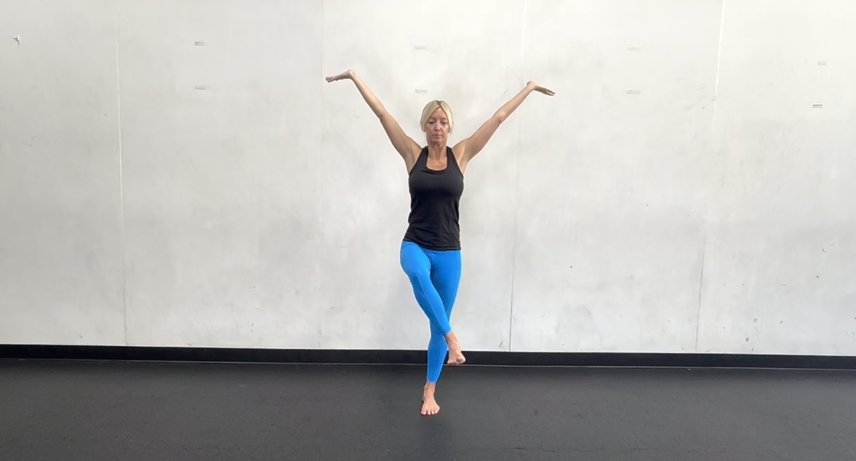 Internal/External Rotation of the Hip