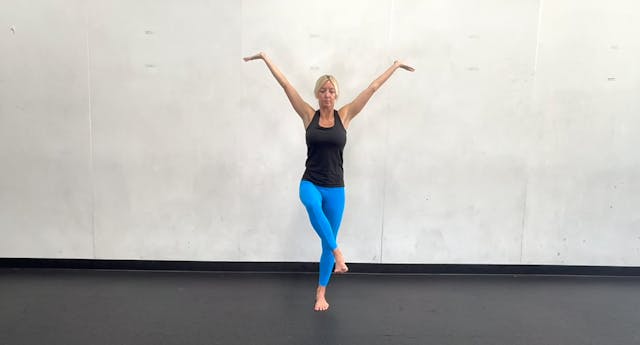 Internal/External Rotation of the Hip