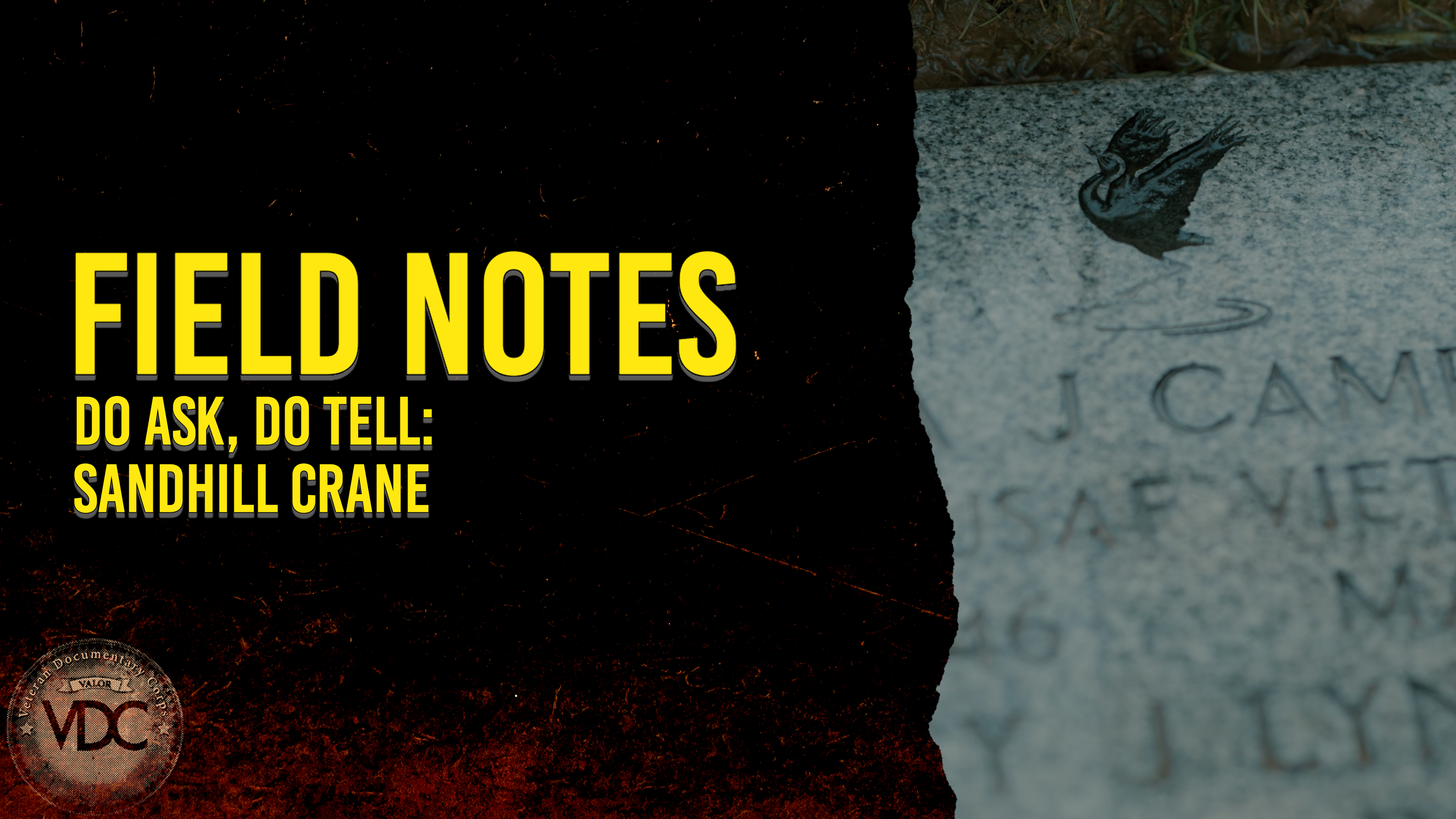 Field Notes: Do Ask, Do Tell - Sandhill Crane