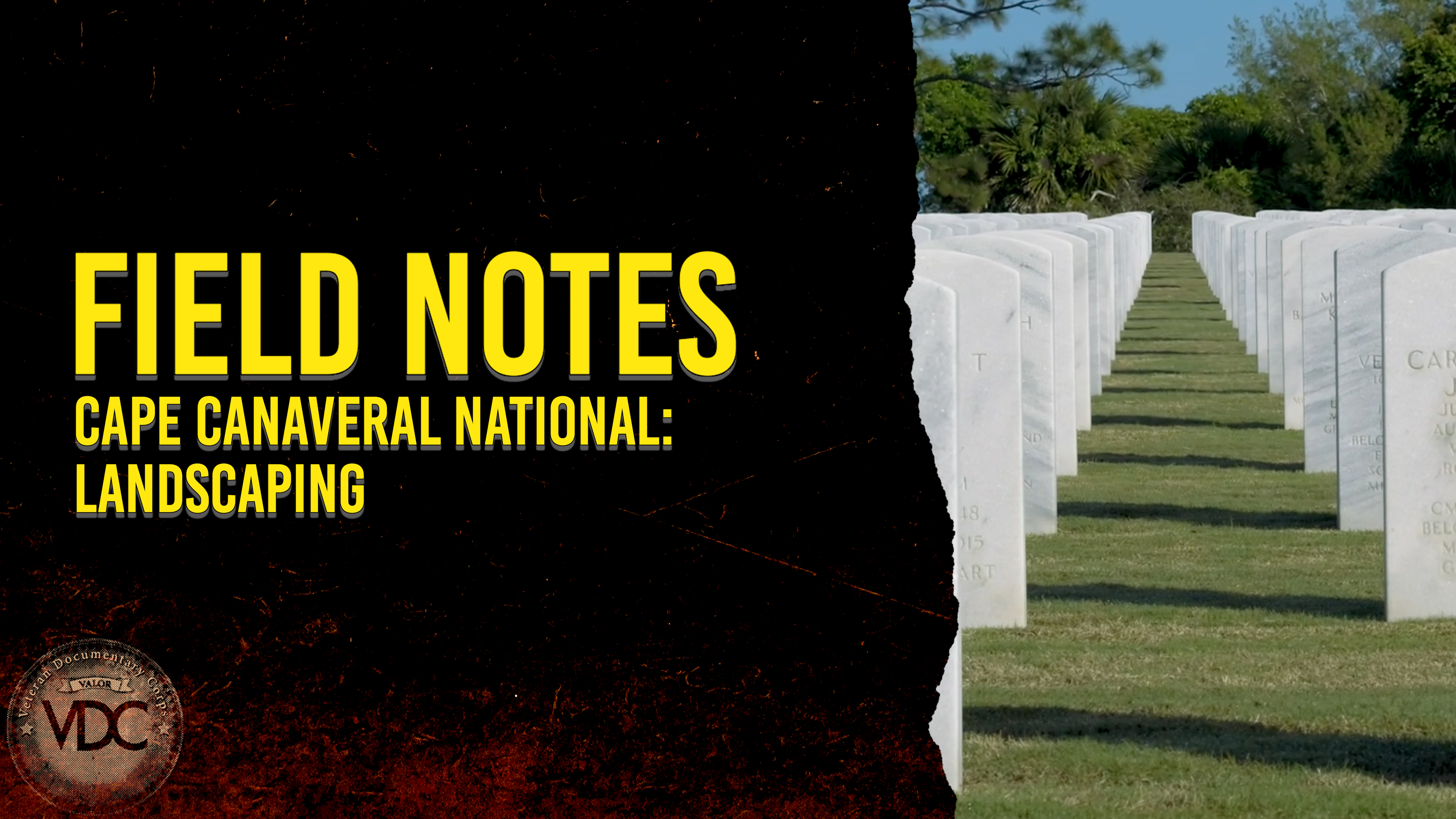 Field Notes: Cape Canaveral National - Landscaping