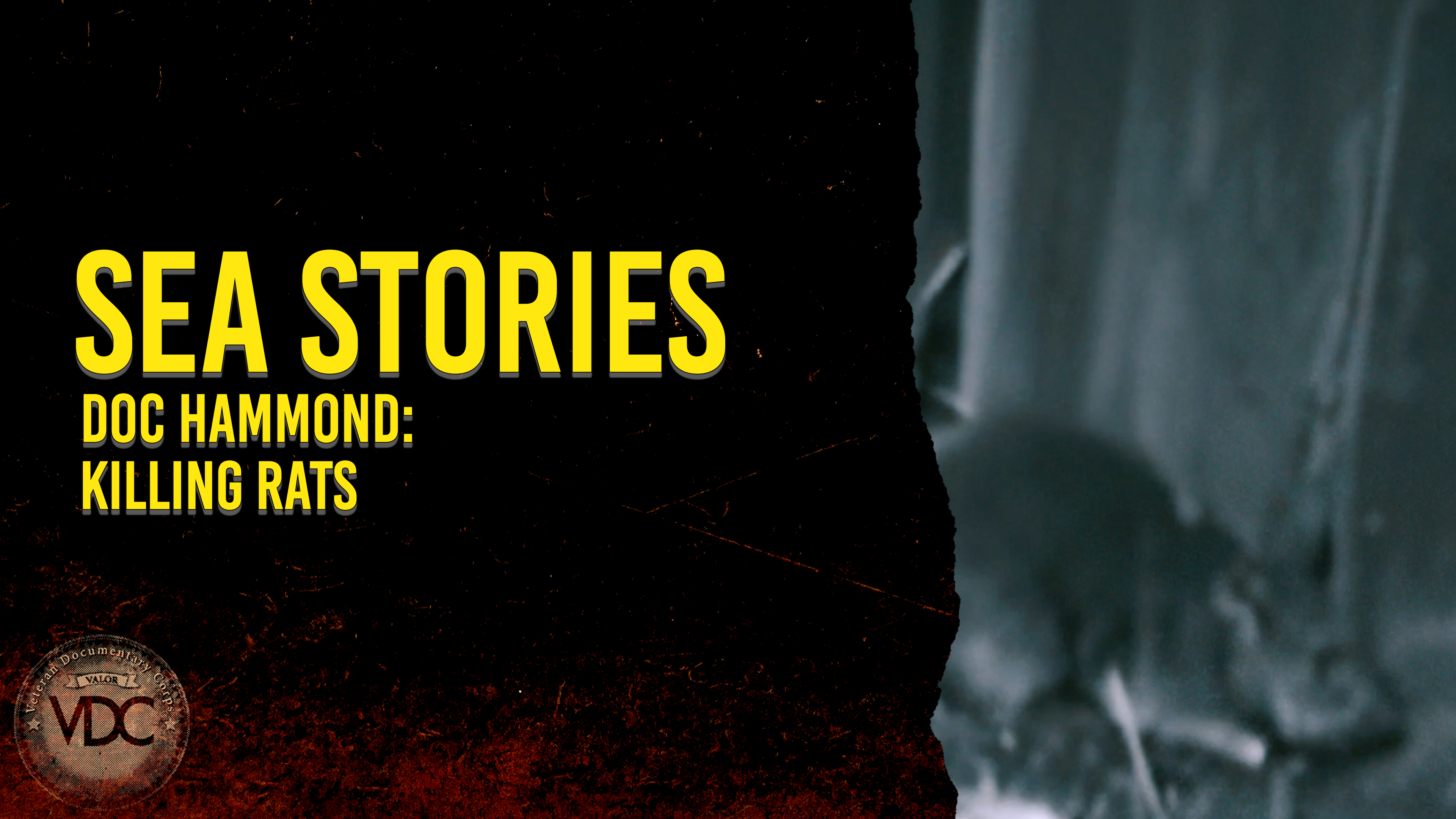 Sea Story: Triumph Over Prejudice - Killing Rats