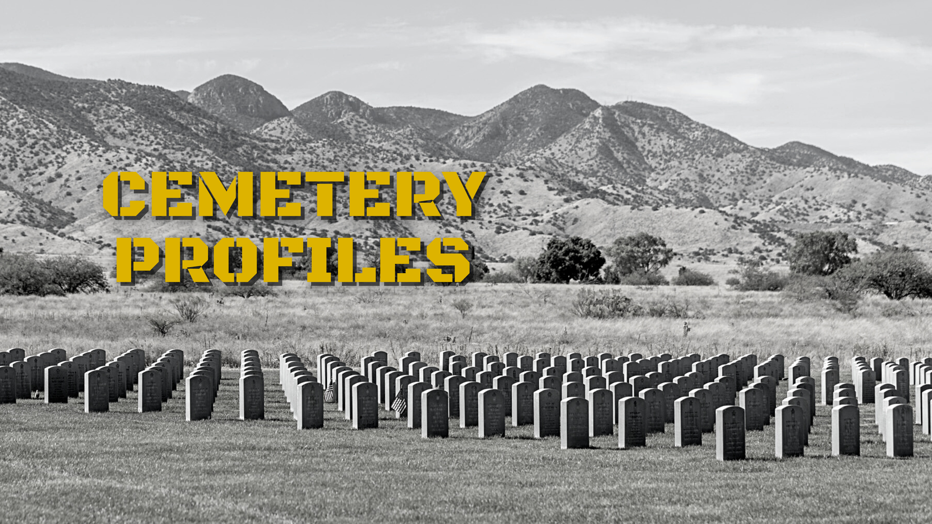 Cemetery Profiles