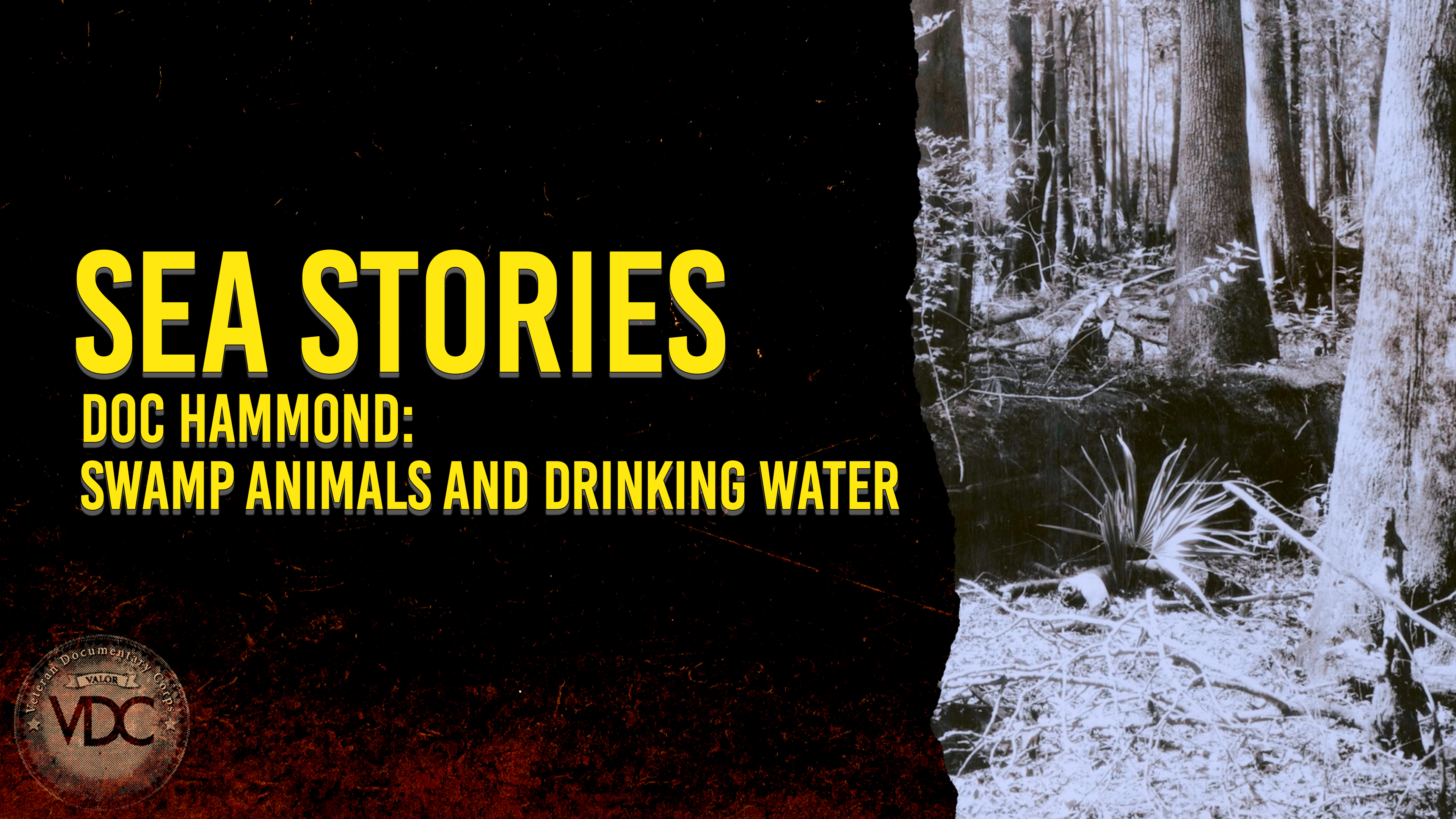 Sea Story: Triumph Over Prejudice - Swamp Animals and Drinking Water