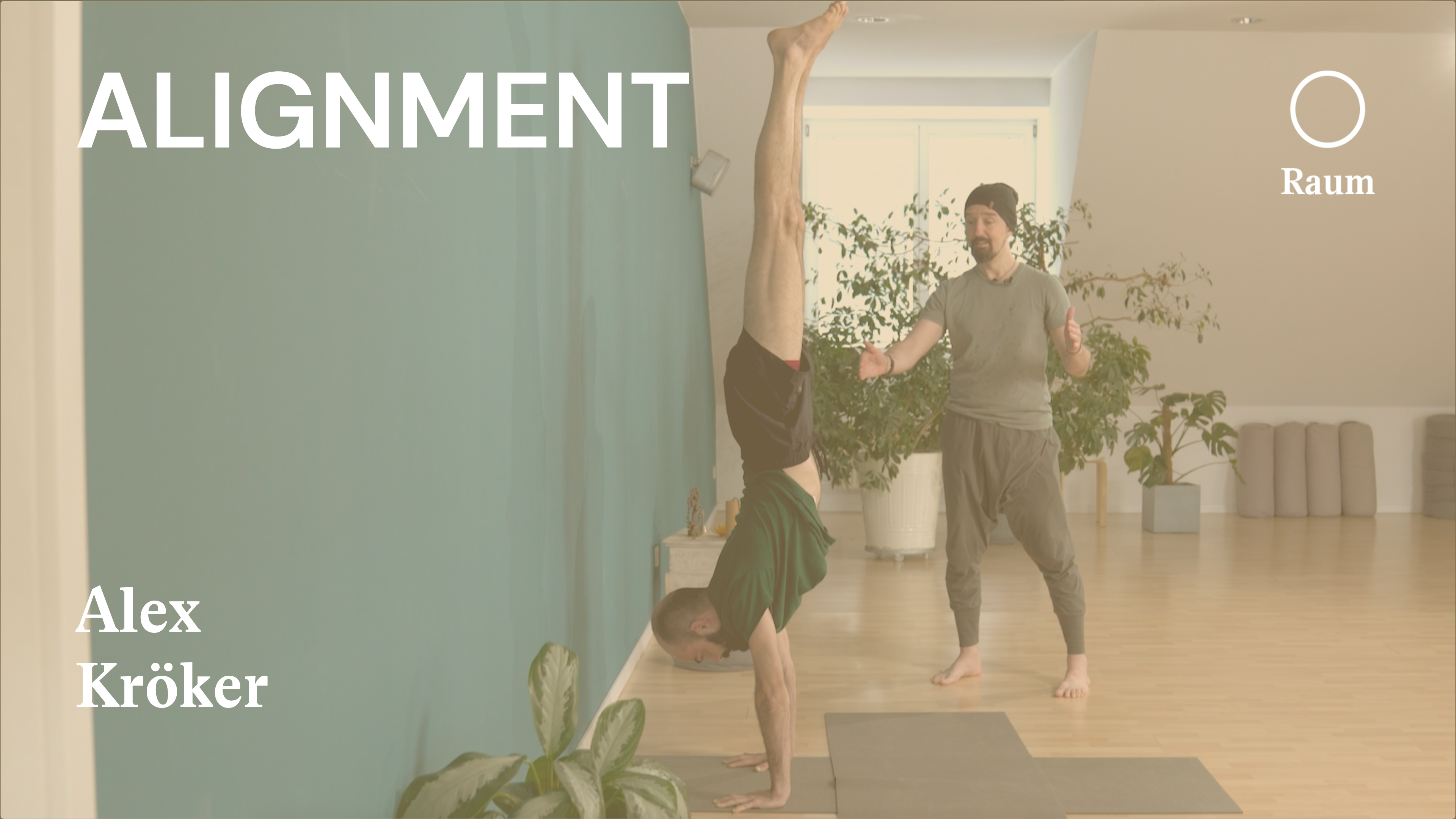 Asana meistern | Handstand Tutorial | Alex