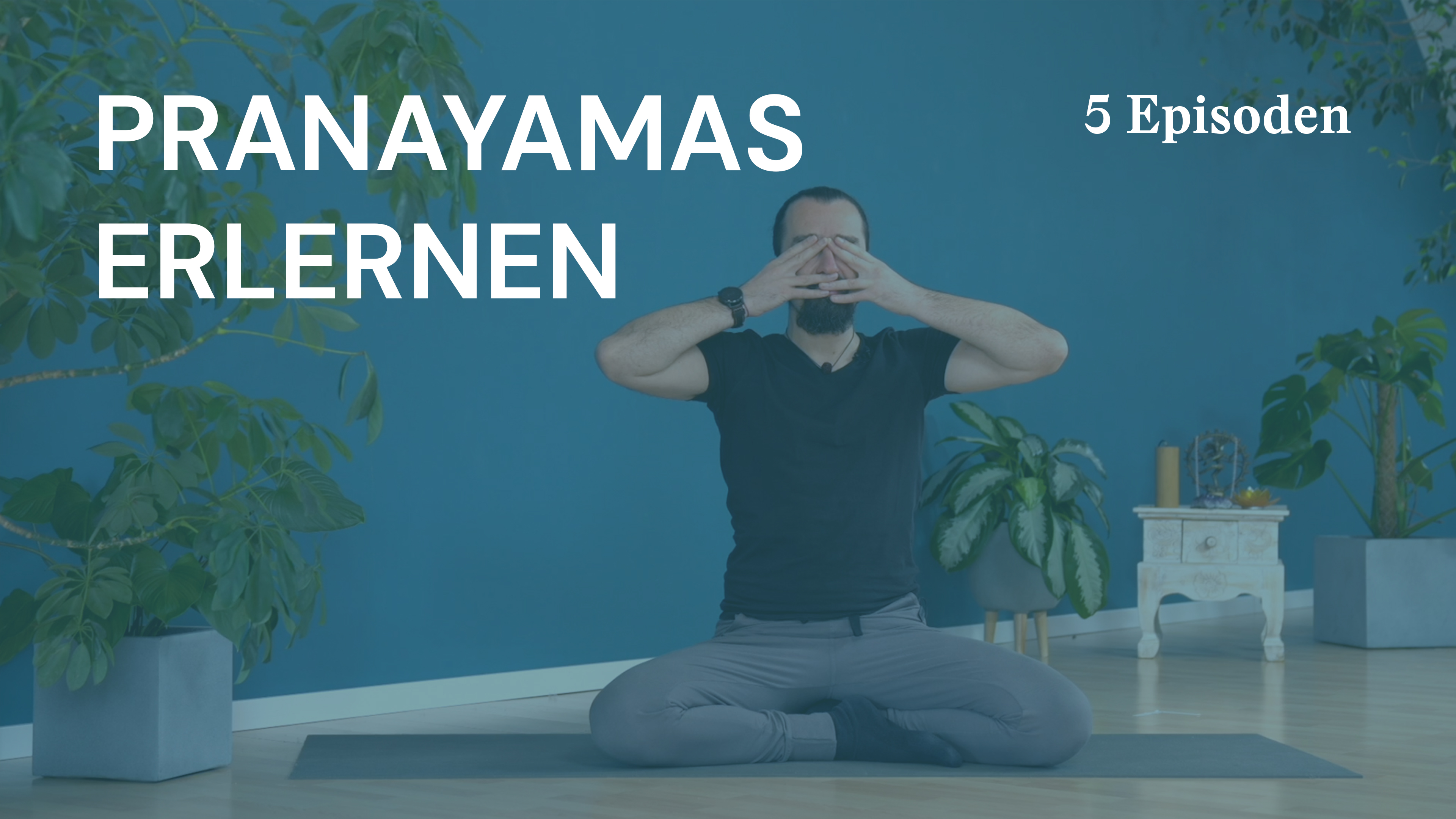 Pranayamas Erlernen