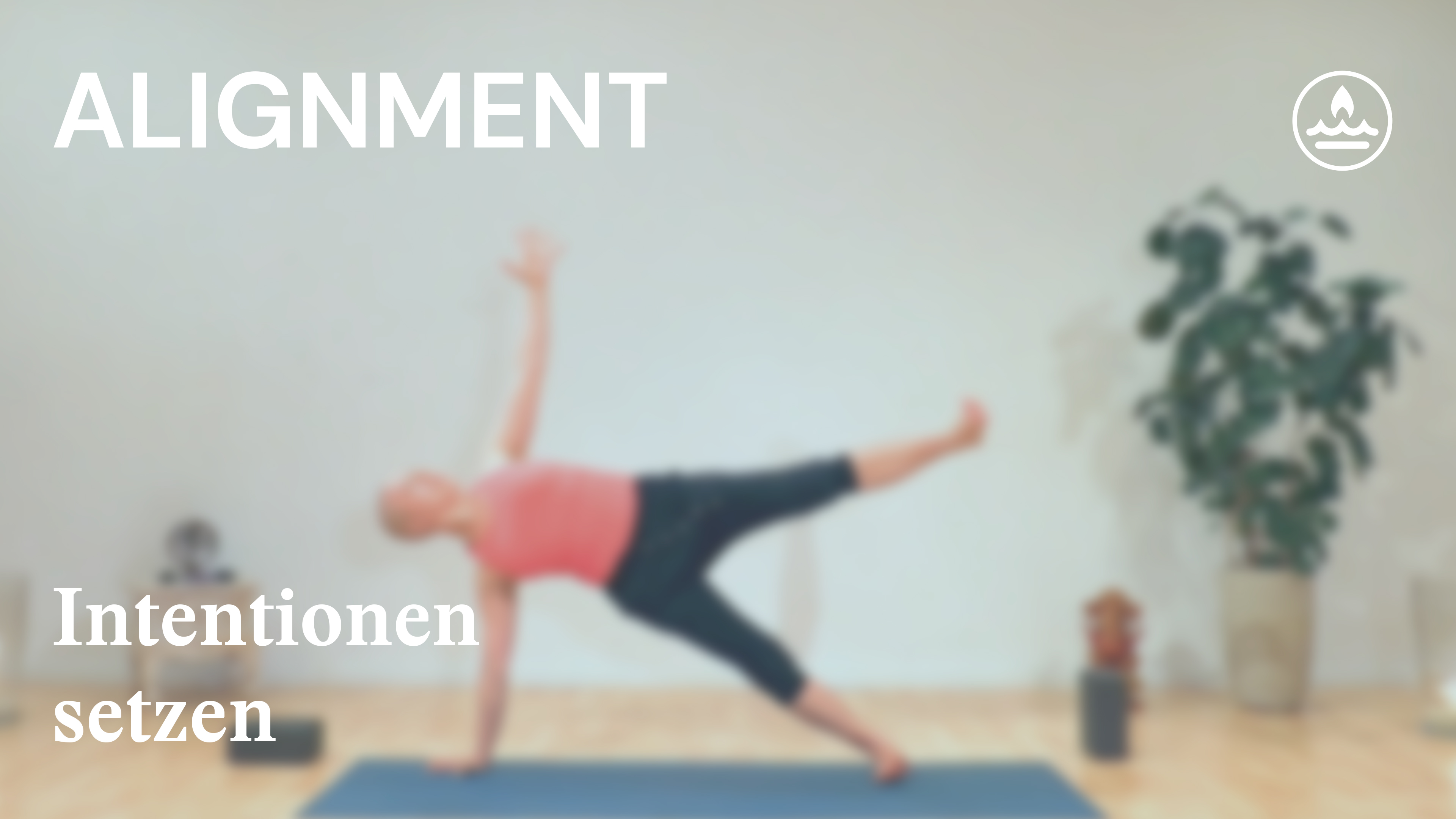 Alignment | Feuer | Intentionen | Roelie