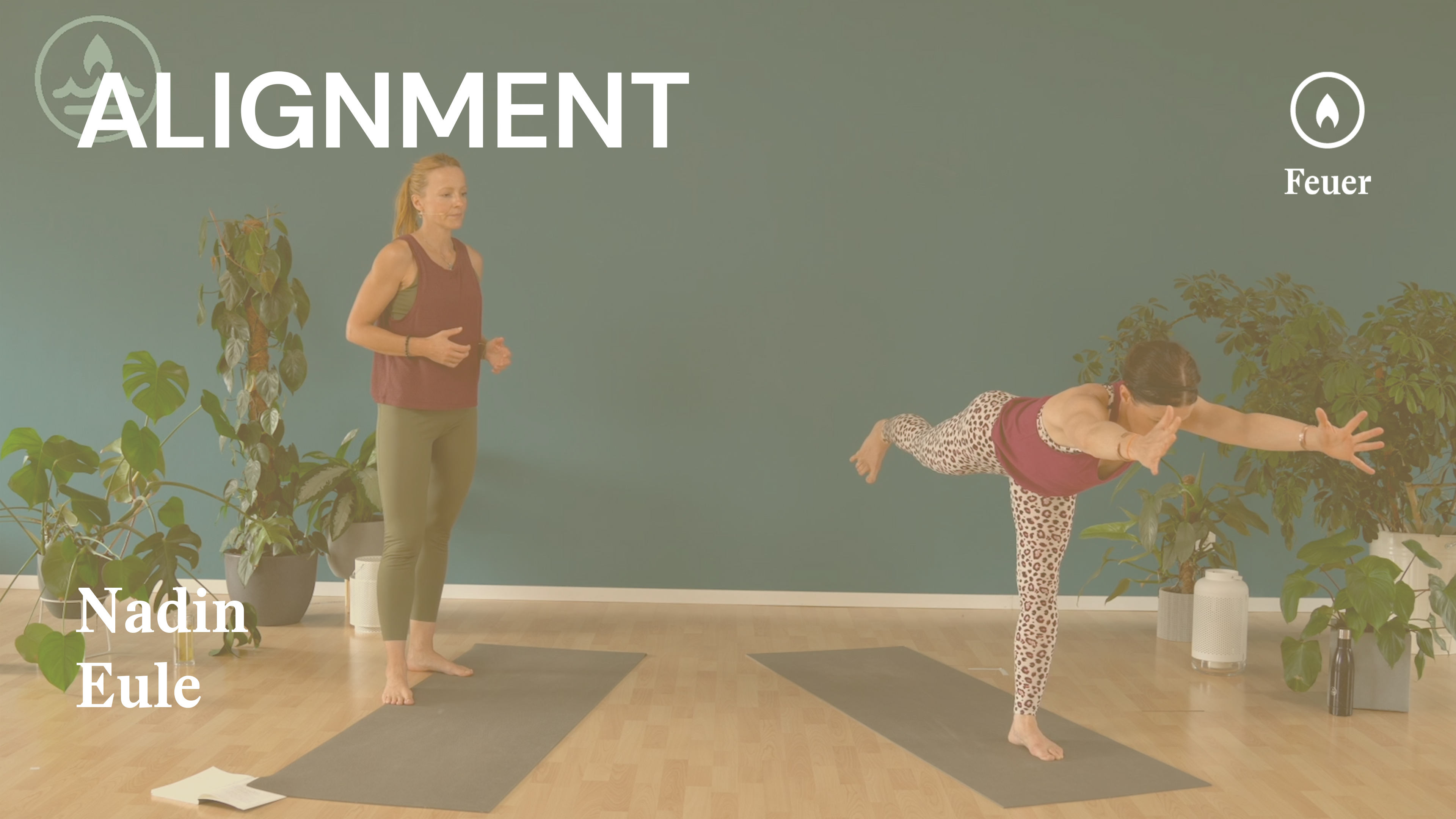 Alignment | Von der Krähe ins Chaturanga | Stabilität im ganzen Körper | Nadin