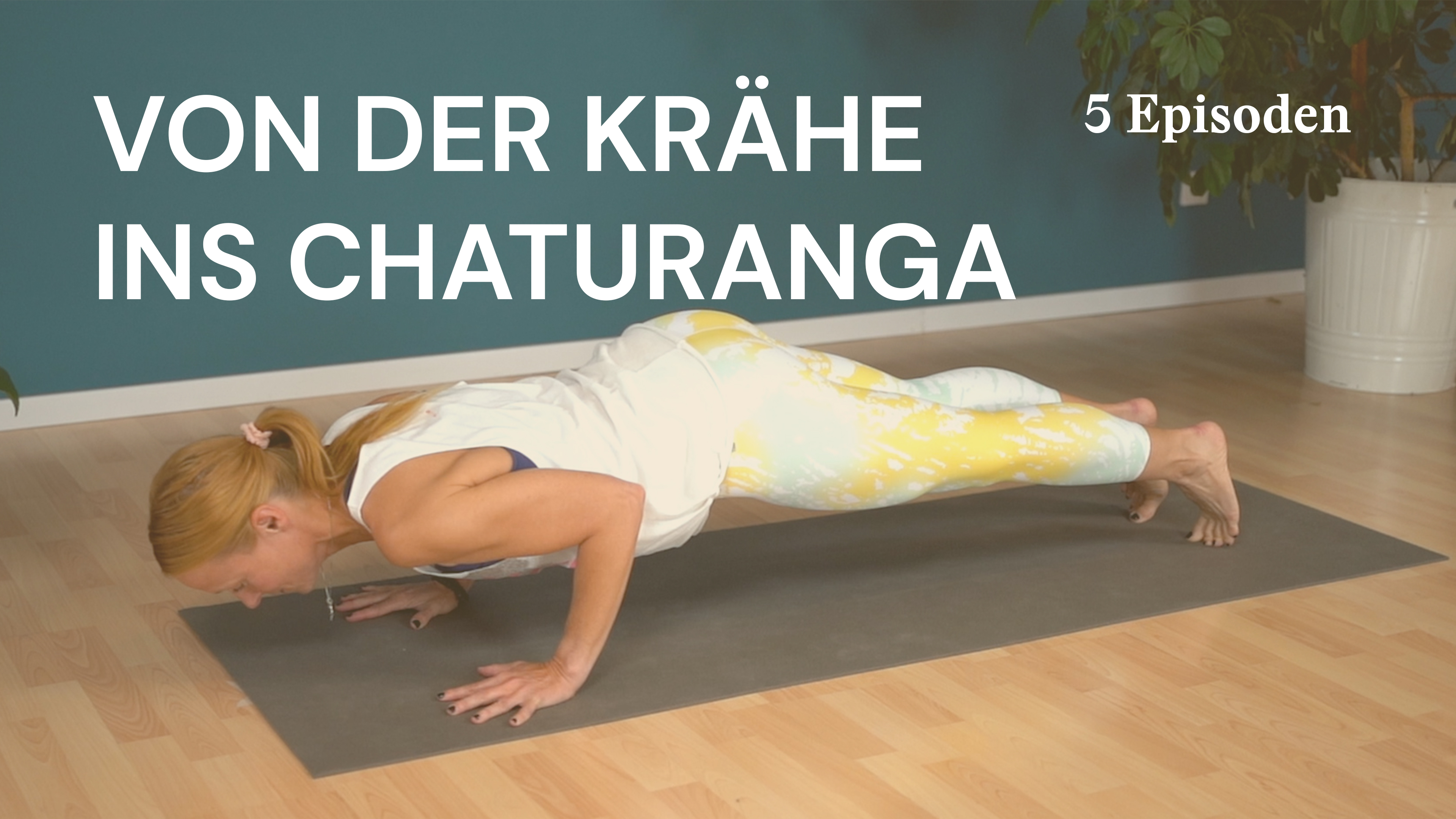 Von der Krähe ins Chaturanga