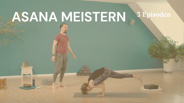 Asana Meistern - Schritt für Schritt Anleitungen