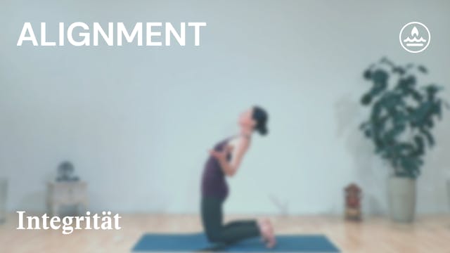 Alignment | Feuer | Integrität | Alex