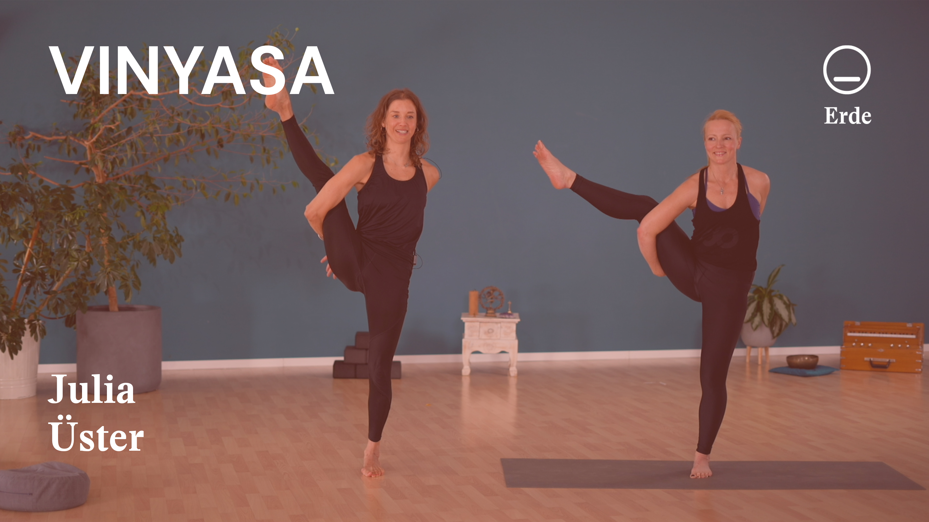 Vinyasa | Yamas und Niyamas | Brahmacharia | Erde | Julia