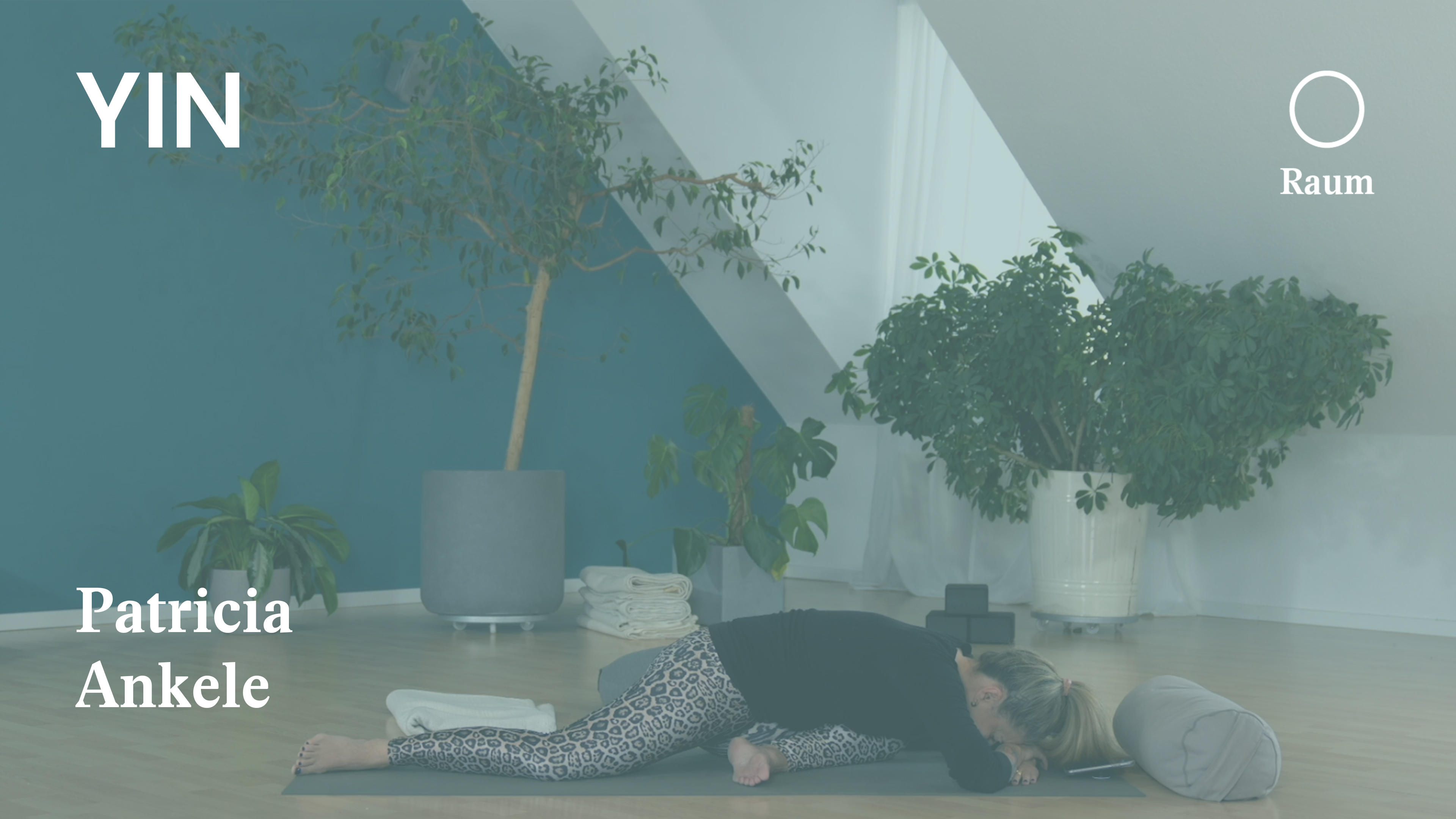 Meridian & Faszienkurs | Leber & Gallenblase | Entgiftung anregen (Teil 2)