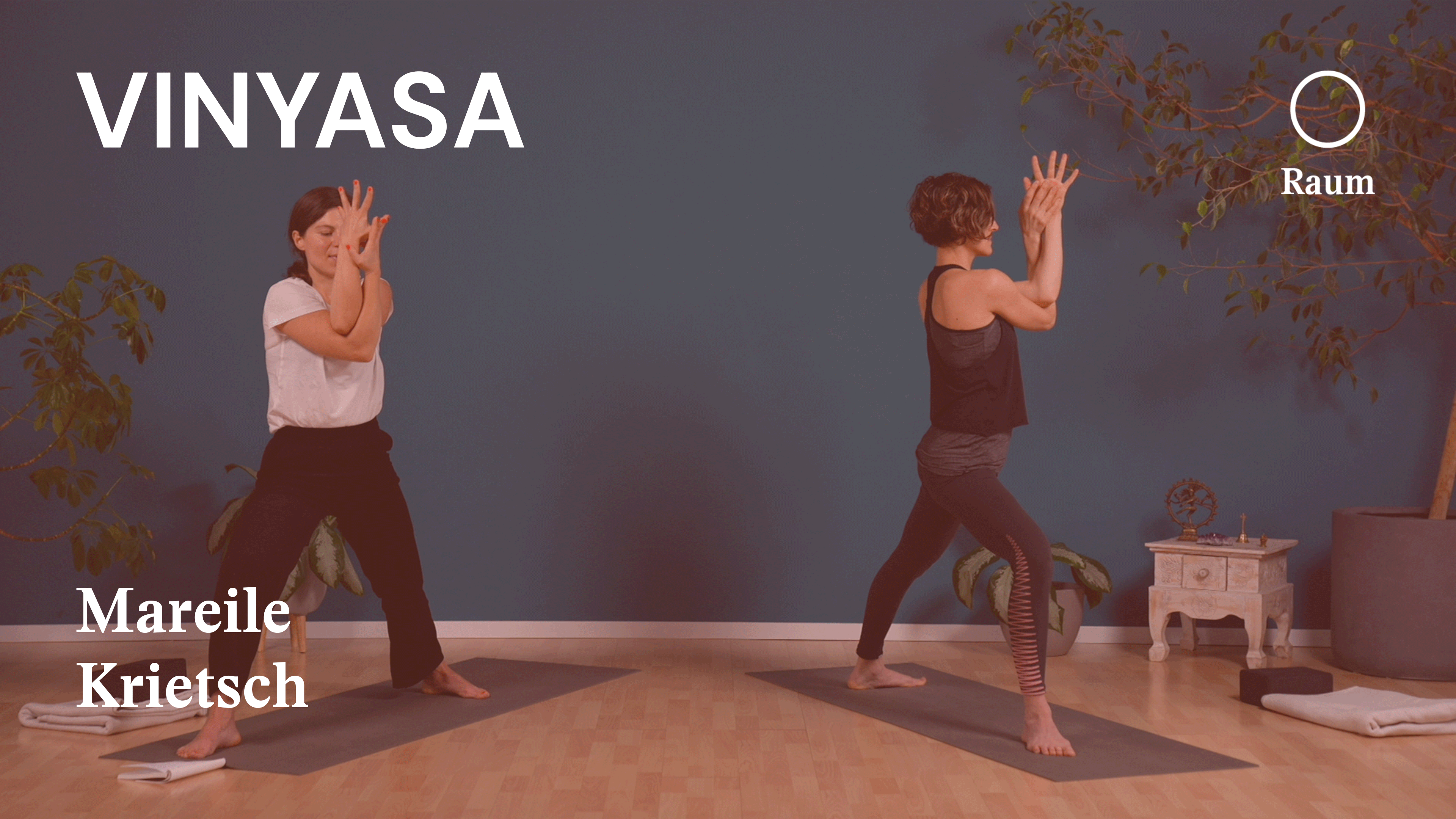 Vinyasa | Mexican Flow | Adler, der auf Kaktus tanzt und Schlange hält | Mareile