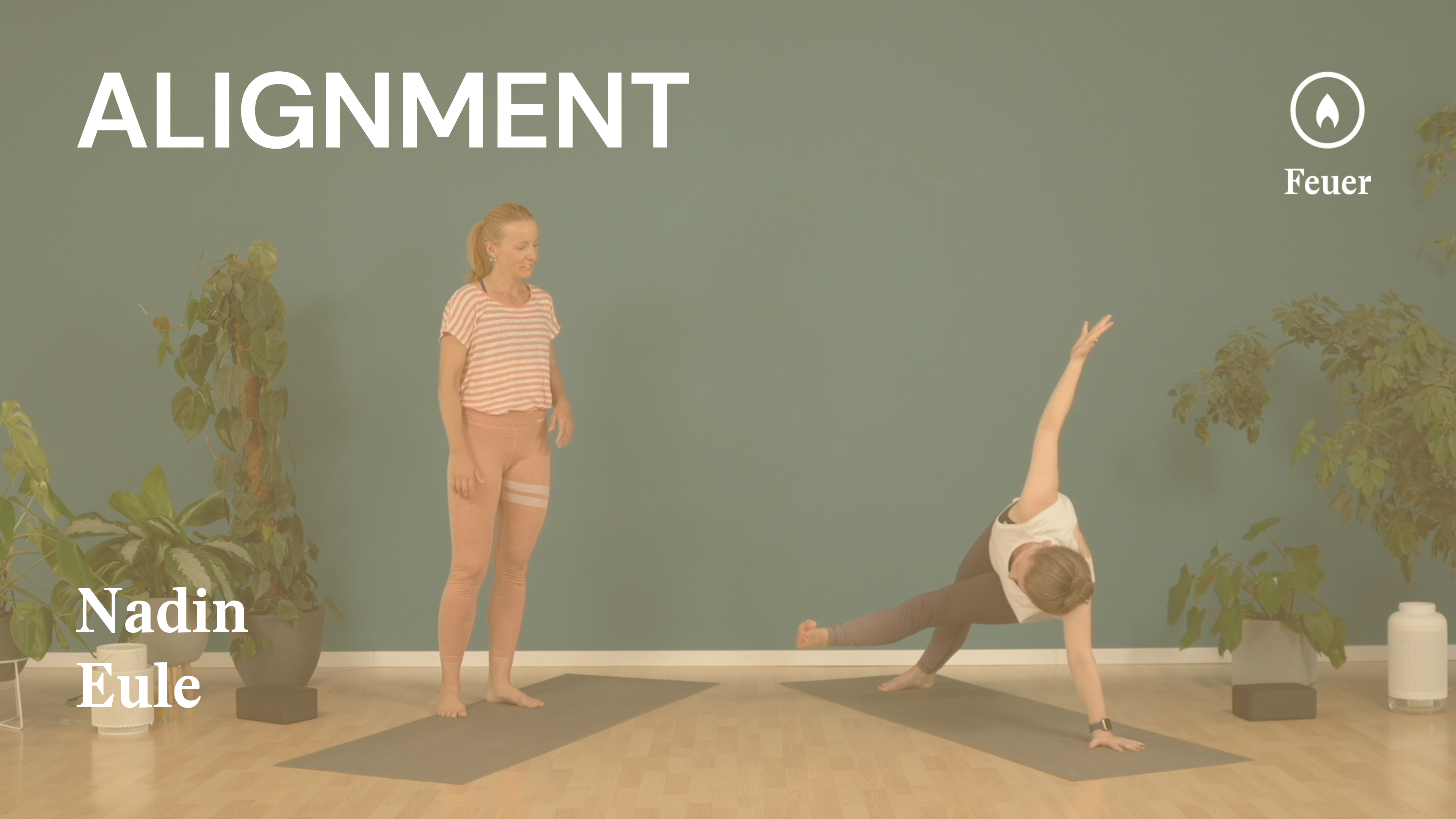 Alignment | Von der Krähe ins Chaturanga | Einführung Krähe & Chaturanga | Nadin