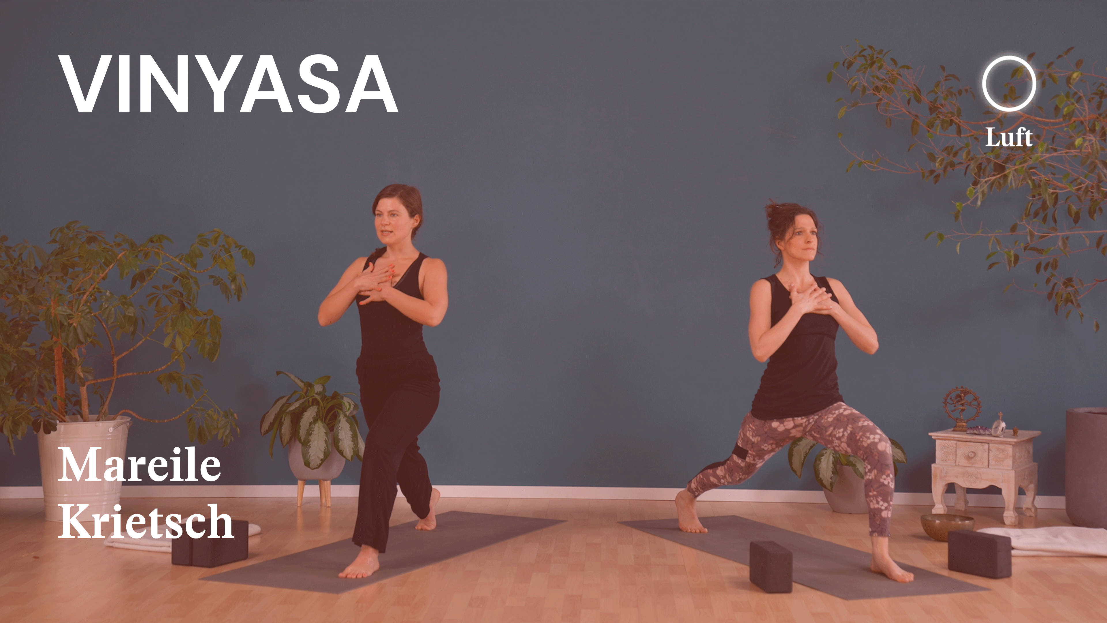 Vinyasa | Mexican Flow | Wozu brauchen wir Füße, wenn wir Flügel haben | Mareile