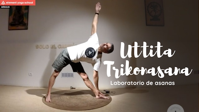 Uttita Trikonasana