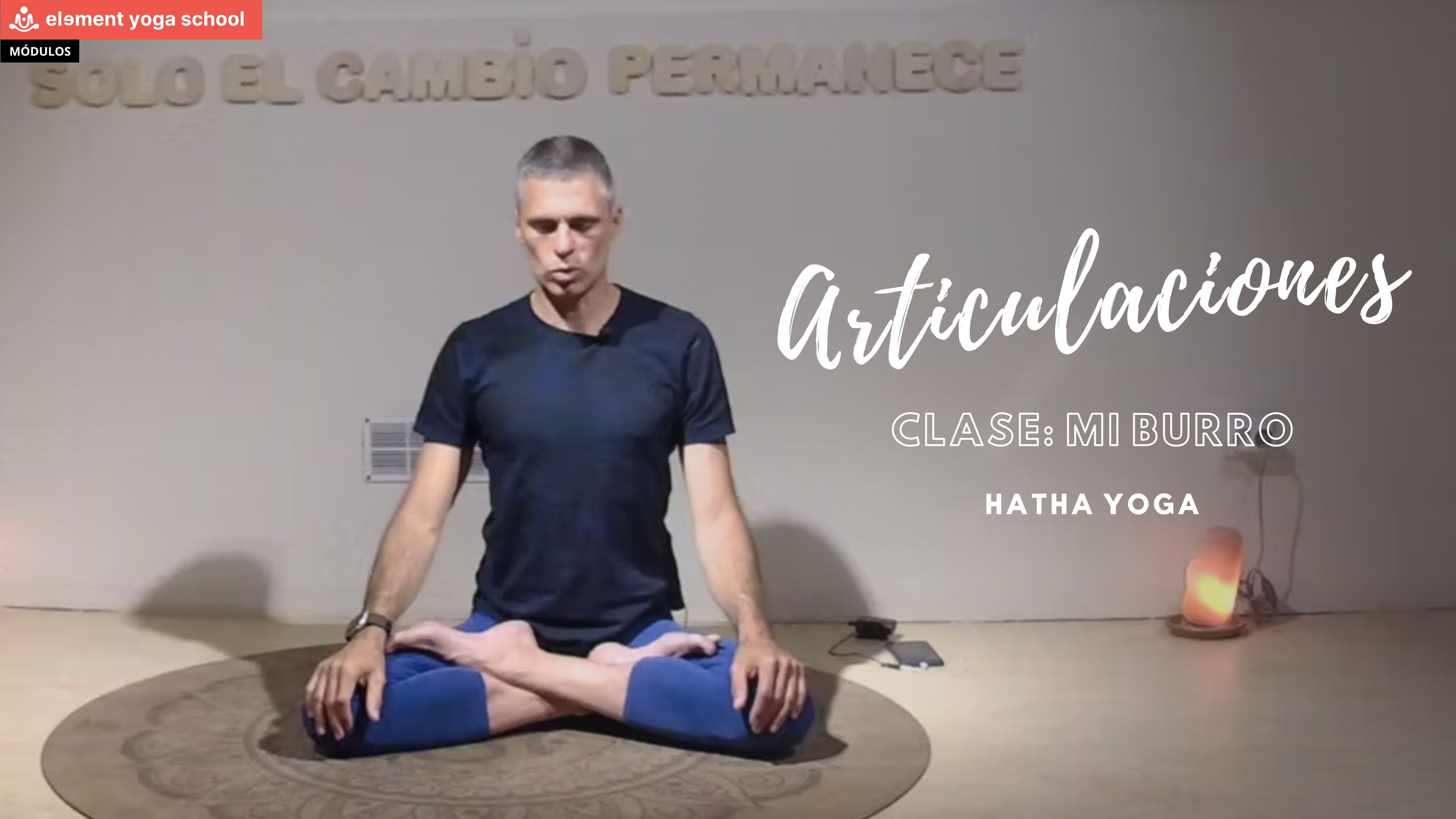 Mi burro (Principiante)