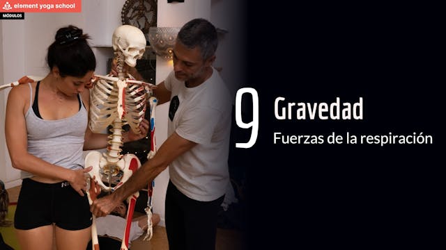 La gravedad