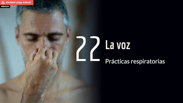 Lección 22 La voz