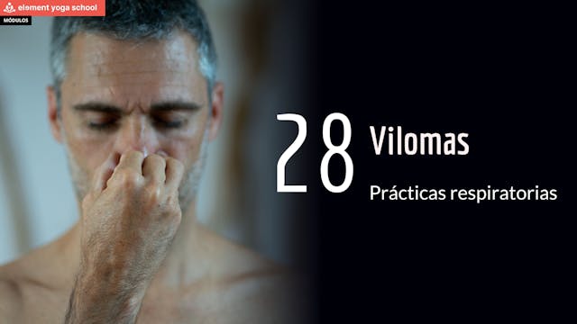 Lección 28 Vilomas
