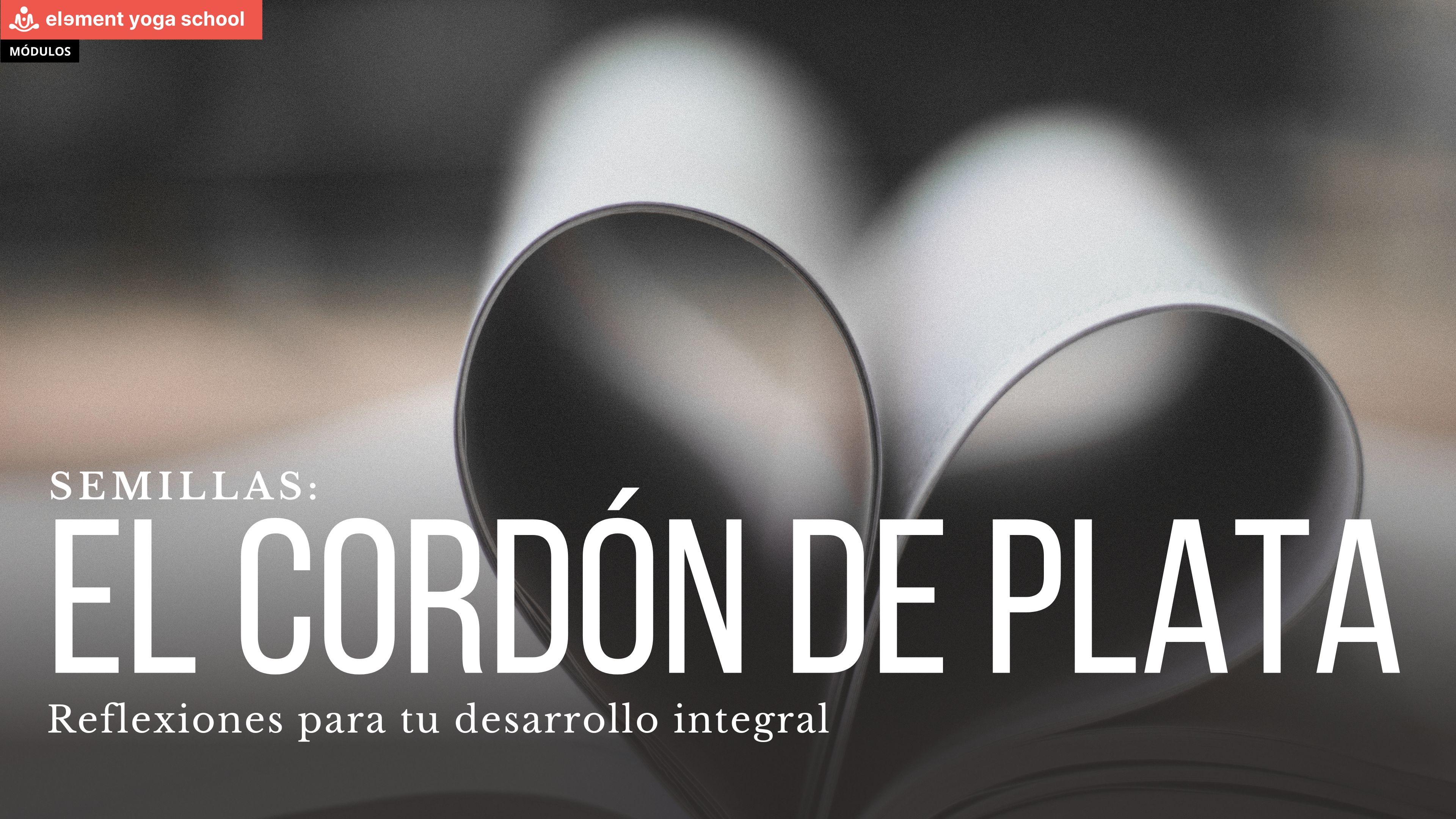 El cordón de plata. (Semillas)