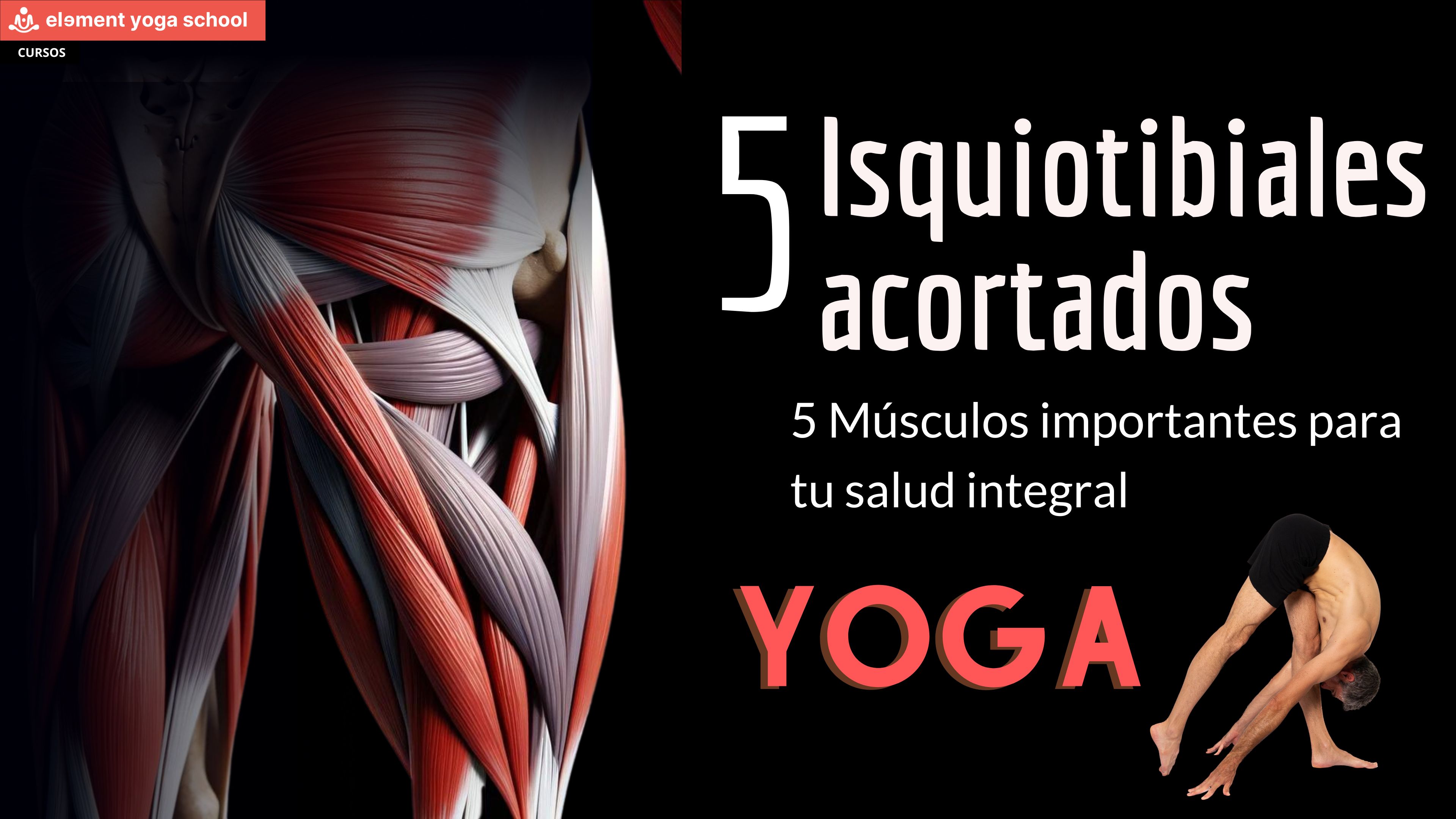 Isquiotibiales flexibles y adiós al sedentarismo digital