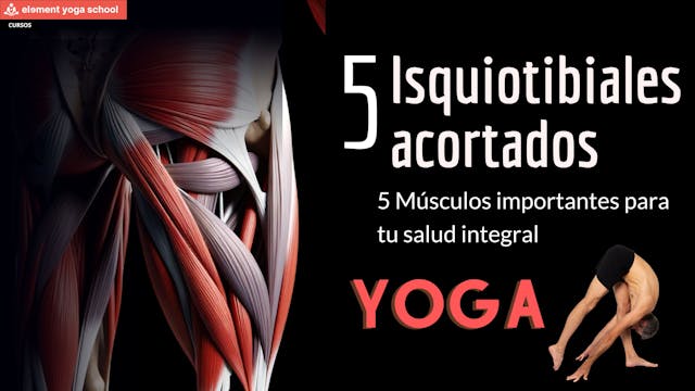 Isquiotibiales flexibles y adiós al s...