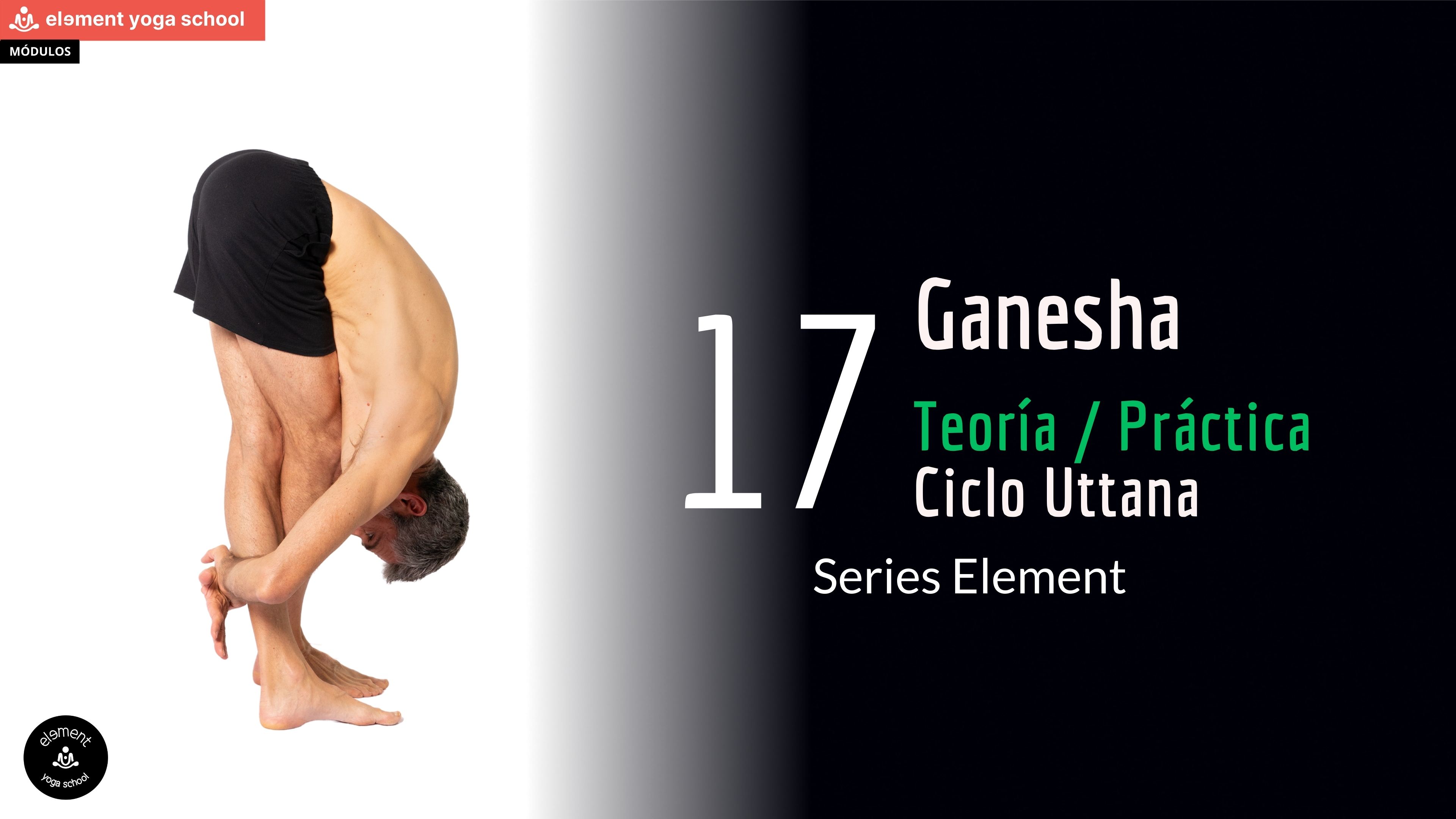 Ciclo Uttanasana