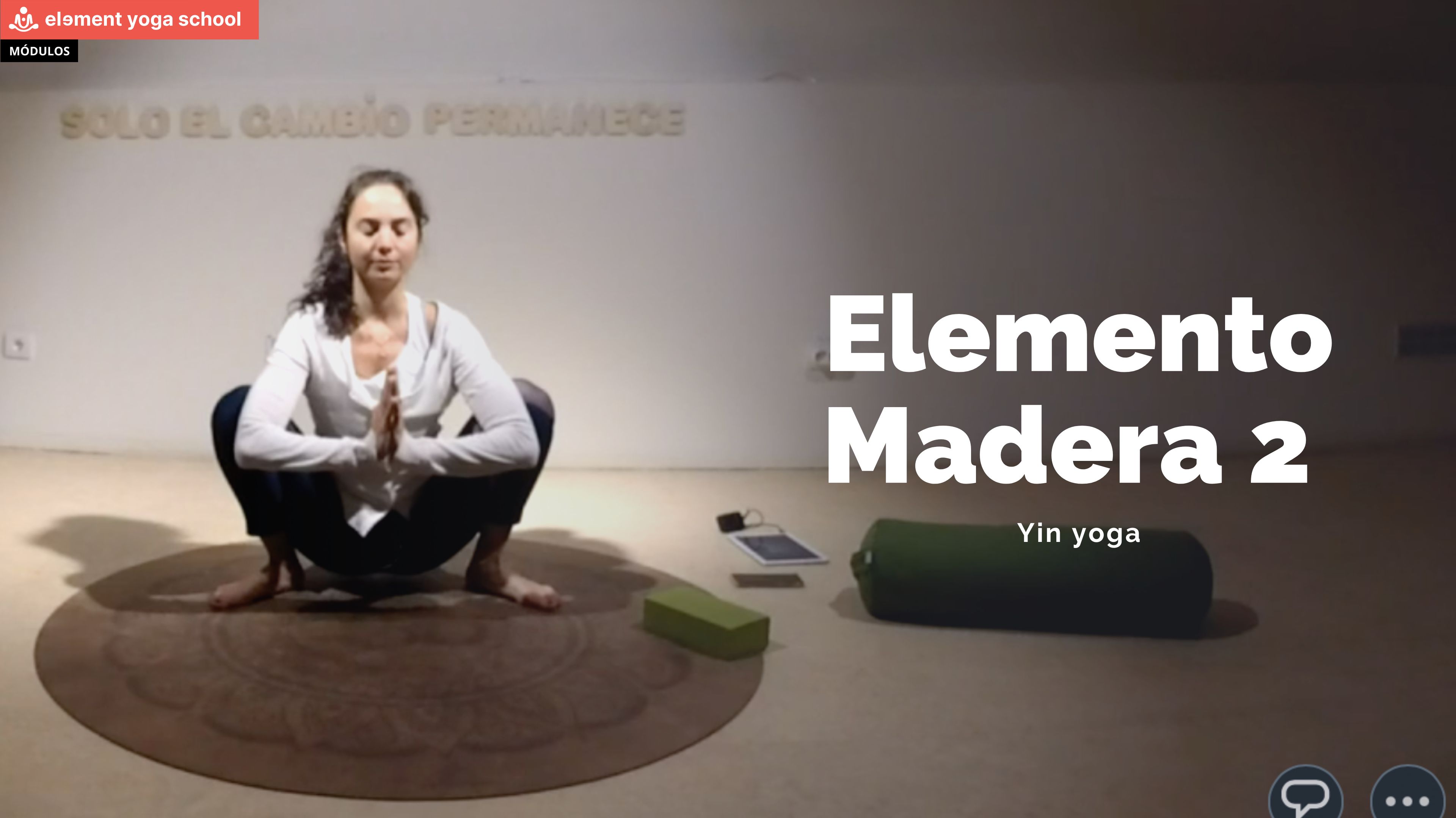 Yin yoga 12 (Elemento madera)
