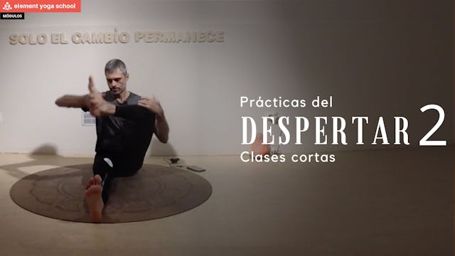 Práctica del despertar 2