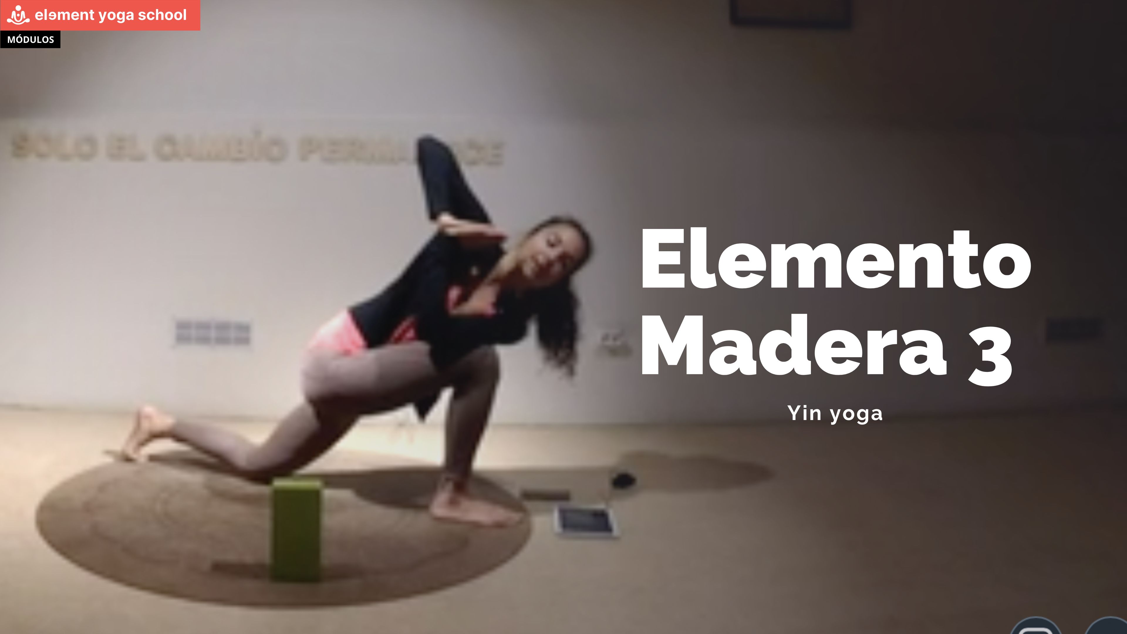 Yin yoga 13 (Elemento madera)